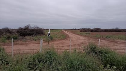 Los campos en Santiago del Estero