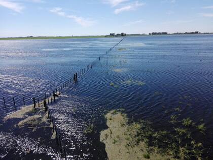 Los campos están cubiertos de agua en gran parte de General Villegas