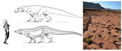 Los candidatos tenidos en cuenta para reconocer a los autores de las huellas en Ruditayoj (Historical Biology)