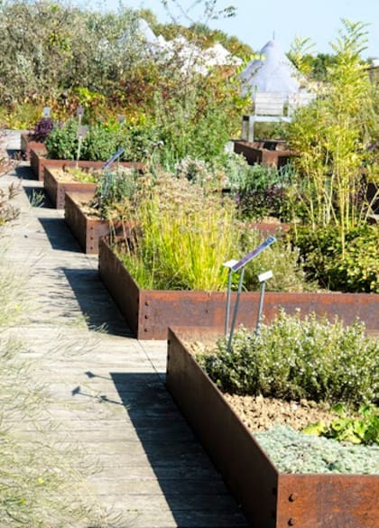 Los canteros elevados de chapones de hierro generan una estructura permanente, son ideales para patios secos