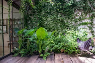 Cuando el jardín se vuelve parte de la casa