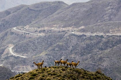 Los Caracoles de Villavicencio: 55 km de curvas desde Uspallata hasta el antiguo hotel termal