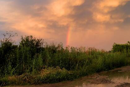 Los Cardales, Buenos Aires