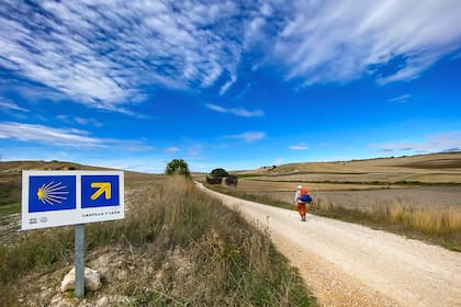 Los carteles con la típica flecha amarilla guían a los peregrinos 