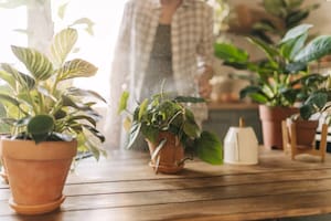 Los caseros reciben un 15% de aumento en abril