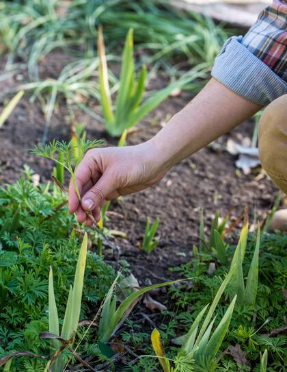 Los caseros tuvieron un aumento retroactivo el mes anterior