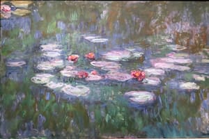 Menos azul y más rojo: cómo era el problema en la vista que sufría Monet