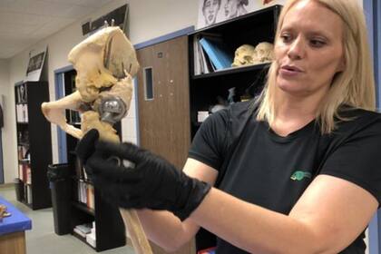 La doctora Kimmerle estudia los cuerpos desde el momento de la muerte hasta que son solo huesos