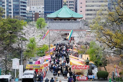 Los cerezos en flor en el Parque Ueno, en Tokio.
