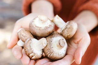 Cuáles son los alimentos con mayor vitamina D y por qué resulta esencial para cuidar los huesos