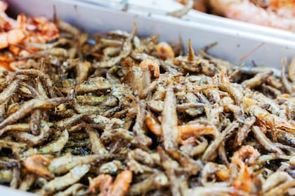 Los charales tienen múltiples beneficios para la salud