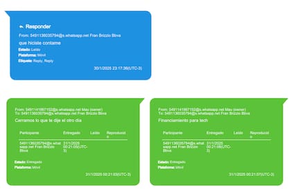 Los chats de Mauricio Novelli que analiza la Justicia