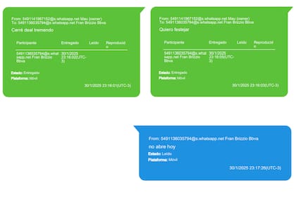 Los chats de Mauricio Novelli que analiza la Justicia