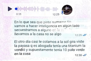 La caída de la banda de barrabravas que robaba techos solares de autos en Vicente López y San Isidro