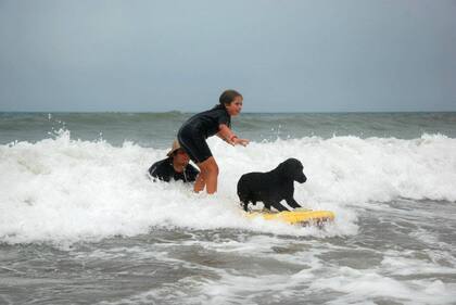 Los chicos adoran aprender surf acompañados por el habilidoso perro.