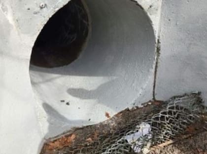 Los chicos dejaron sus pertenencias en la entrada de la alcantarilla; el dato fue clave para que los rescatistas los ubicaran