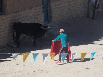 Los chicos, desde los 14 años se preparan para el toreo y recién a los 17 ya pueden ingresar en la plaza