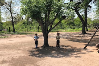 Los chicos pasan hambre y están abandonados a su suerte