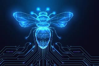 Las cuatro investigaciones científicas que parecían absurdas, pero dieron resultados brillantes