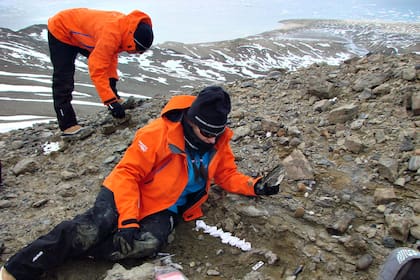 Los científicos argentinos trabajando en la zona del hallazgo