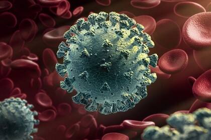 Los científicos aún tienen varias preguntas sin resolver acerca del coronavirus.