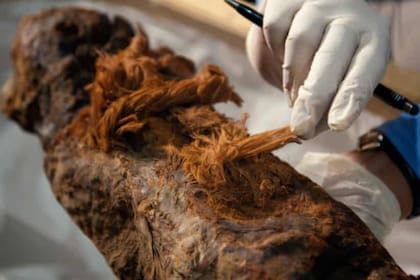 Los científicos británicos señalan que el objetivo de la momificación buscaba convertir en una estatua divina al difunto.