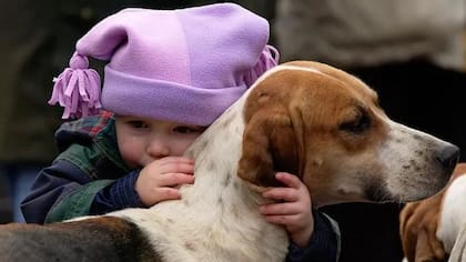 Los científicos creen que los perros tienen también un gen que los hace ser amigables, a diferencia de los lobos