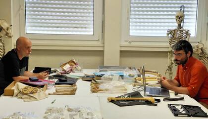 Los científicos de la Universidad de Poitiers publicaron su trabajo en la revista Nature.