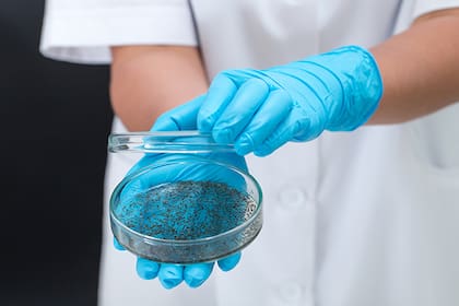 Los científicos desarrollaron poderosas herramientas genéticas que podrían erradicar al mosquito