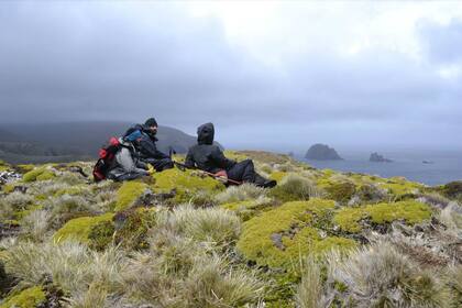 Los científicos en la Isla de los Estados