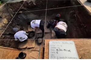 Los científicos hallaron fósiles de elefantes de más de 13.000 años de antigüedad.