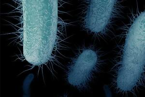 Fuerte advertencia de los infectólogos por otra consecuencia de la pandemia