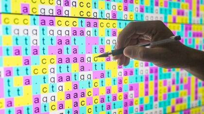 Los científicos lograron leer el orden de los 3.000 millones de pares de bases o bloques de construcción del ADN en el genoma humano..