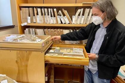 Los científicos publicaron un nuevo estudio de Wathcheeria