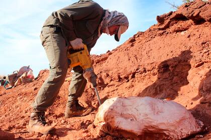 Los científicos trabajando en el lugar donde fueron encontrados los restos del dinosaurio