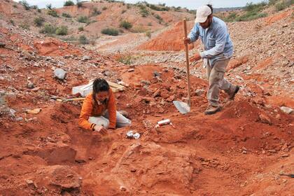 Los científicos trabajando en el lugar donde fueron encontrados los restos del dinosaurio