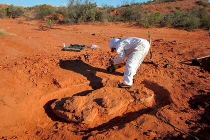 Los ejemplares de Ingentia prima son unos 30 millones de años más antiguos que el gigante más viejo previamente conocido