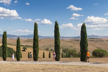 Los cipreses -ciprés del Mediterráneo o piramidal- son un símbolo de esta región