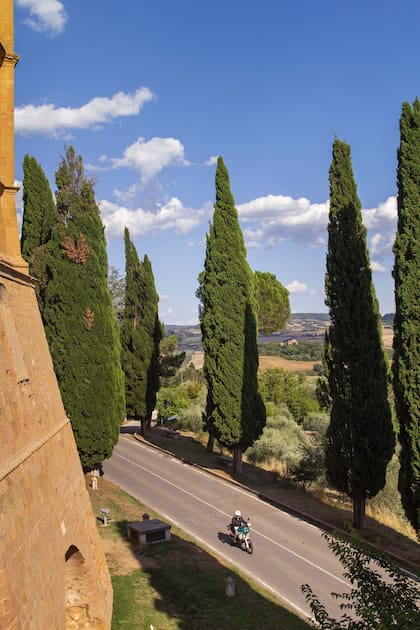 Los cipreses flanquean una via nobile