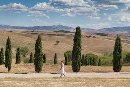 Los cipreses son típicos de la región.