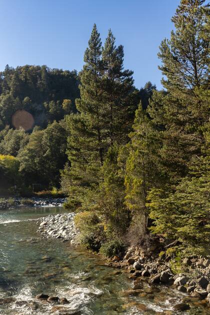 Los circuitos de trekking se internan en valles y cerros y atraviesas bosques de lenga, coihue, ñires y cipreses.