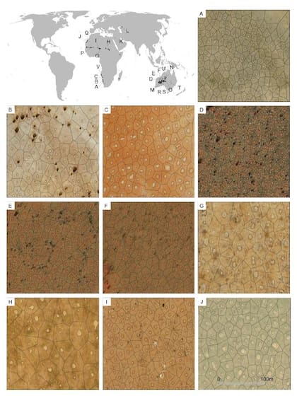 Los círculos de hadas fueron detectadaos en 15 países de tres continentes