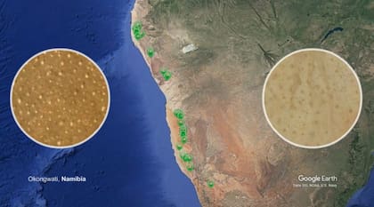 Los círculos de hadas han sido estudiados en dos regiones: el suroeste de África y el norooeste de Australia