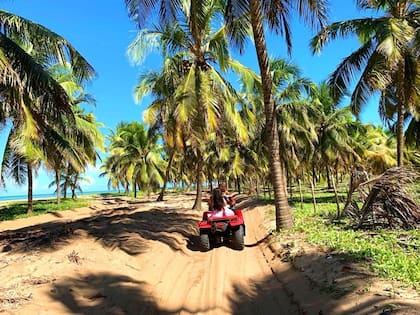Los cocoteros altísimos bordean toda la costa