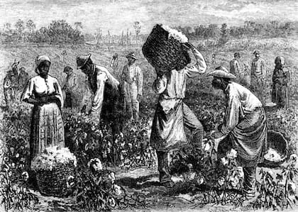 Los colonizadores europeos llevaron esclavos a las tierras del continente americano. Este dibujo es de una plantación de algodón en Estados Unidos, en 1875
