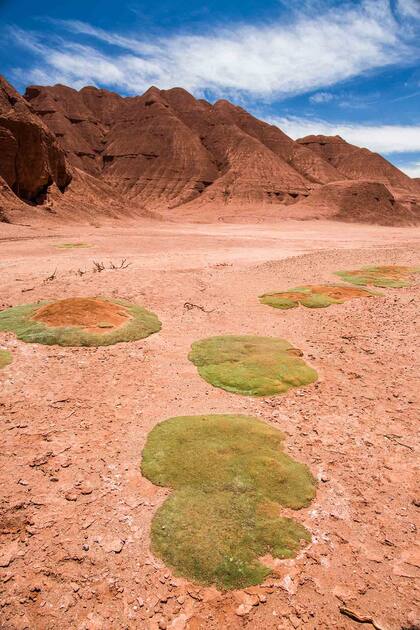 Los Colorados en Salta.