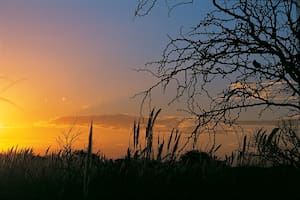 Los colores del atardecer en el campo, una fiesta para los ojos y para el alma