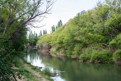 Los colores del río Chubut desde Posada Los Mimbres