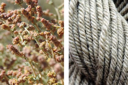 Los colores obtenidos con la zampa van del amarillo pálido e intenso, pasando por un oliva suave y grisáceo, variando hasta un gris claro.