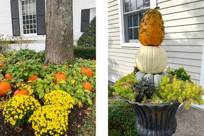 Los colores otoñales de los jardines y frentes de las casas se mezclan con los naranjas de las calabazas.